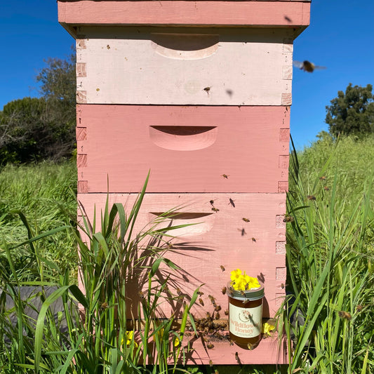 Wildflower Honey